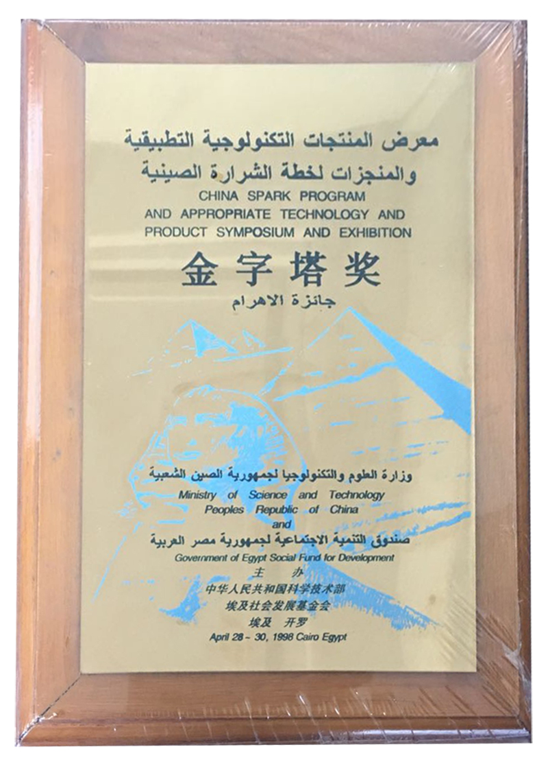 金字塔獎(jiǎng).jpg